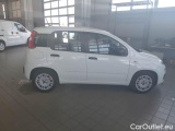  Fiat  Panda FIAT  / 2011 / 5P / BERLINA 1.0 70CV SeS HYBRID #7