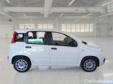  Fiat  Panda FIAT  / 2011 / 5P / BERLINA 1.0 70CV SeS HYBRID #7