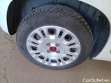  Fiat  Panda FIAT  / 2011 / 5P / BERLINA 1.0 70CV SeS HYBRID #18