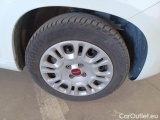  Fiat  Panda FIAT  / 2011 / 5P / BERLINA 1.0 70CV SeS HYBRID #50