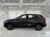  Ford  Kuga FORD  / 2019 / 5P / SUV 1.5 ECOBLUE 120CV 2WD TITANIUM BUS. AUTO #8