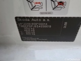  Skoda  Fabia  Essence 1.0 TSI 95CV MT5 6E #17