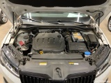  Skoda  Superb  Combi Scout 4x4 2.0 TDI 147KW AT7 E6d #11