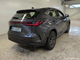 NX