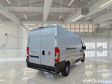 Ducato