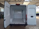 Ducato