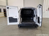 Fiorino
