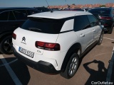 C4 Cactus
