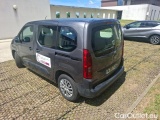 Berlingo