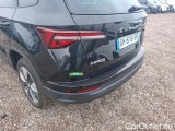  Skoda  Karoq 1.5 TSI 150 DSG7 BUSINESS #50