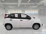  Fiat  Panda FIAT  / 2011 / 5P / BERLINA 1.0 70CV SeS HYBRID #7