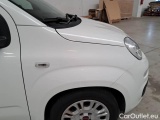  Fiat  Panda FIAT  / 2011 / 5P / BERLINA 1.0 70CV SeS HYBRID #48