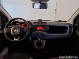  Fiat  Panda FIAT  / 2011 / 5P / BERLINA 1.2 69CV E6 EASY #3