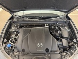  Mazda  CX-30  Selection 2WD 2.0 132KW MT6 E6d #41
