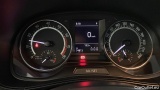  Skoda  Fabia  Monte Carlo 1.0 TSI 95CV BVA7 E6d #14