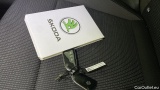  Skoda  Octavia  Break Business 2.0 TDI 115CV BVM6 E6d #20