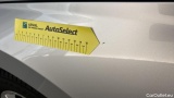  Skoda  Octavia  Break Business 2.0 TDI 115CV BVM6 E6d #25