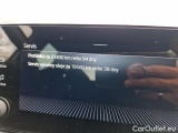  Skoda  KAMIQ -SUV (NW4) (2019)  1.5TSI 110 MonteCarlo AT #17