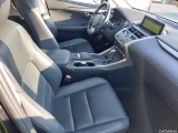  Lexus  NX LEXUS  / 2017 / 5P / todoterreno 2.5 300h Executive Navigation 4WD #6