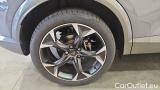  Cupra  Formentor 2.0 TDI 110kW 4Drive DSG #10