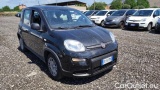  Fiat  Panda 1.0 FireFly 70cv S&S Hybrid #2