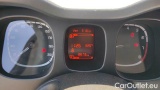  Fiat  Panda 1.0 FireFly 70cv S&S Hybrid #12