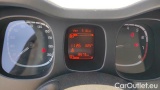  Fiat  Panda 1.0 FireFly 70cv S&S Hybrid #13