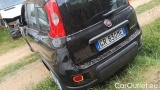  Fiat  Panda 1.0 FireFly 70cv S&S Hybrid #3