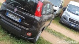  Fiat  Panda 1.0 FireFly 70cv S&S Hybrid #4
