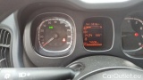  Fiat  Panda 1.0 FireFly 70cv S&S Hybrid #13