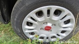  Fiat  Panda 1.0 FireFly 70cv S&S Hybrid #21