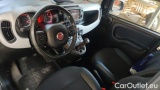  Fiat  Panda 1.0 FireFly 70cv S&S Hybrid City Cross #5