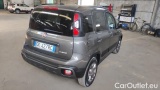  Fiat  Panda 1.0 FireFly 70cv S&S Hybrid City Cross #4