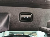  KIA  Sportage KIA  1.6 CRDi 48V 7DCT Pace 5d #21