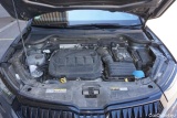  Skoda  Karoq  Sportline 4x4 2.0 TDI 110KW AT7 E6d #11