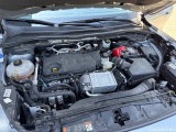  Ford  Kuga  Titanium 2.0 EcoBlue 110KW AT8 E6d #11