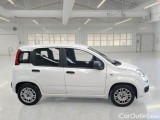  Fiat  Panda FIAT  / 2011 / 5P / BERLINA 1.0 70CV SeS HYBRID #7