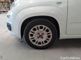  Fiat  Panda FIAT  / 2011 / 5P / BERLINA 1.0 70CV SeS HYBRID #20