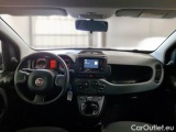  Fiat  Panda FIAT  / 2011 / 5P / BERLINA 1.0 FIREFLY 70CV SeS HYBRID #3