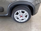  Fiat  Panda FIAT  / 2011 / 5P / BERLINA 1.0 FIREFLY 70CV SeS HYBRID #19