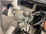 Vivaro