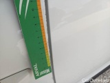  Citroen  C3 CITROEN  / 2020 / 5P / BERLINA BLUEHDI 100 SeS FEEL VAN #80