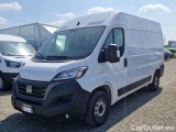 Ducato