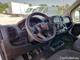 Ducato
