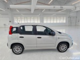  Fiat  Panda FIAT  / 2011 / 5P / BERLINA 1.2 69CV E6 EASY #7