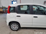  Fiat  Panda FIAT  / 2011 / 5P / BERLINA 1.2 69CV E6 EASY #33