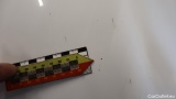 Ford  Transit  Custom Kasten 280 L1 Trend TDCi 96KW AT6 E6dT #38