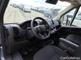 Ducato