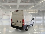 Ducato