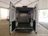 Ducato